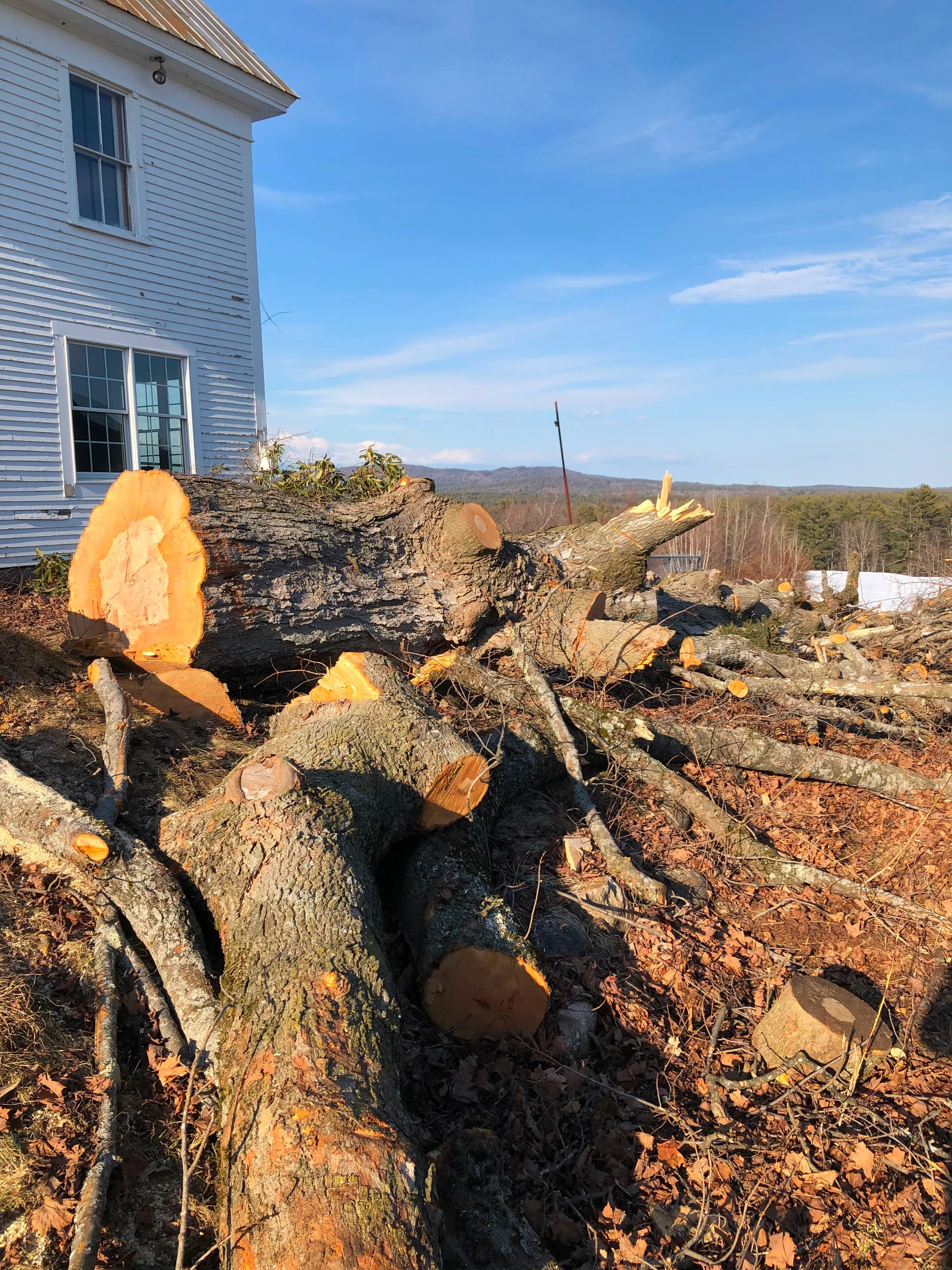 Limington Farm Photo Element