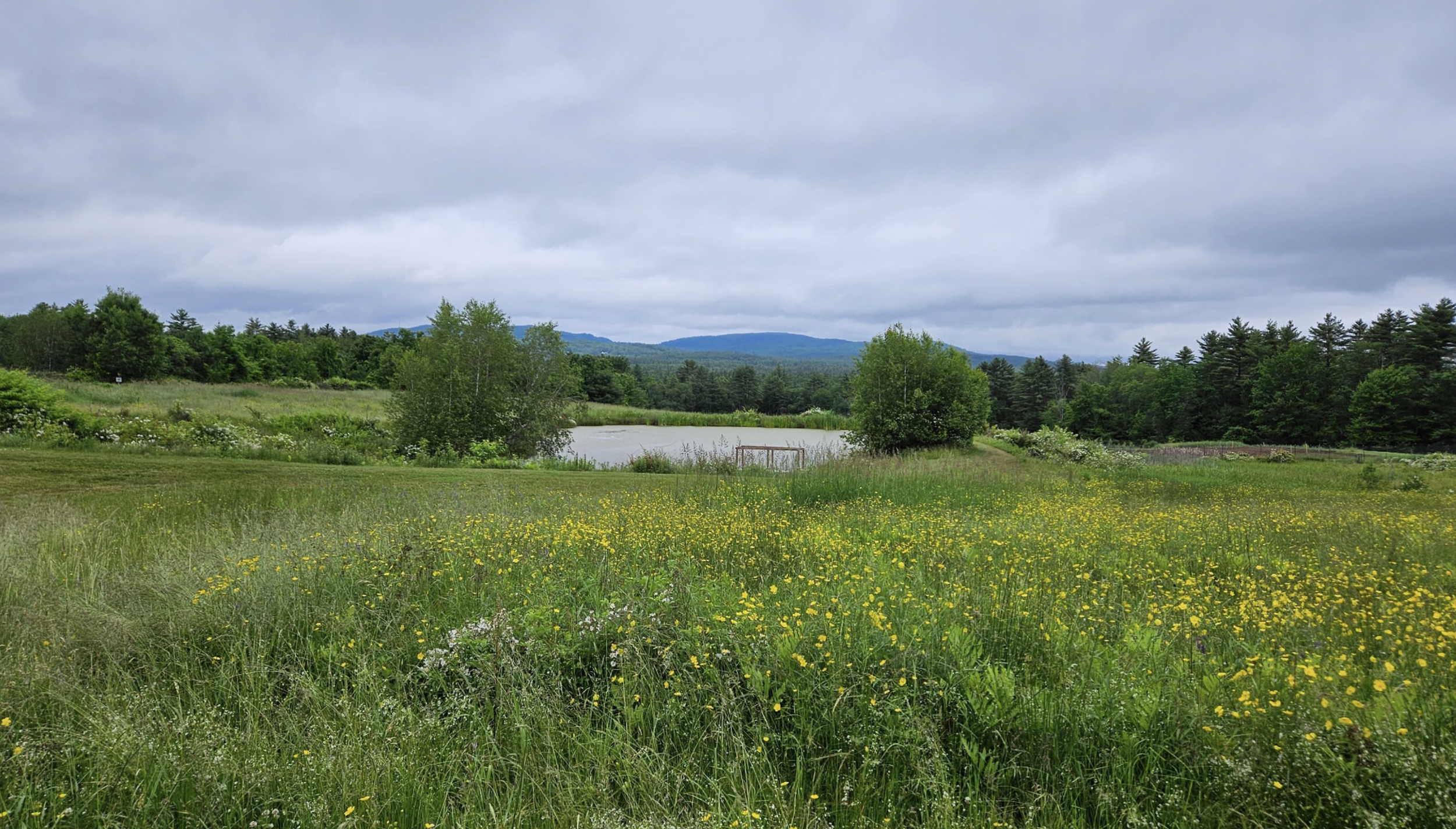 Limington Farm Image Display