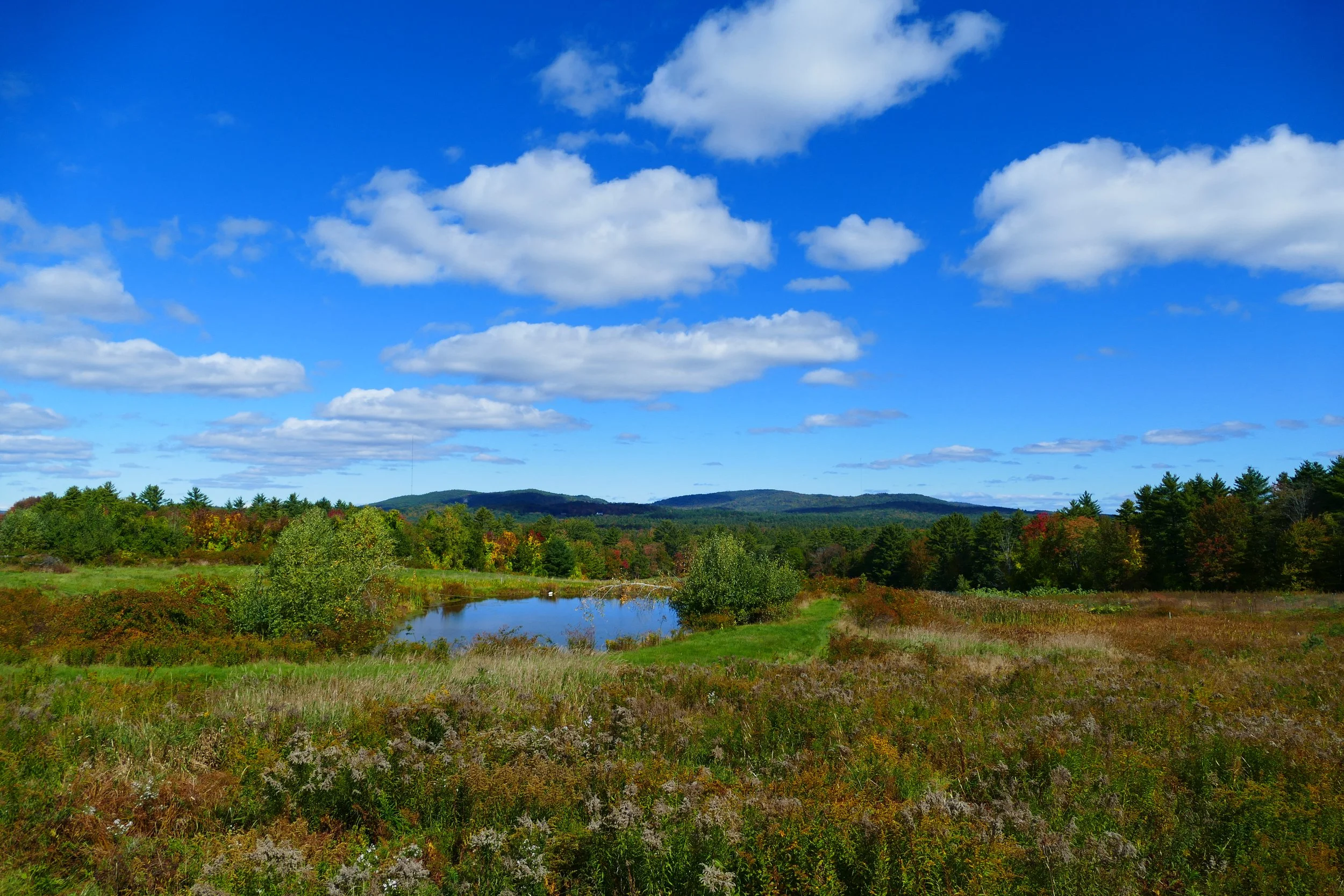 Limington Farm Image Display