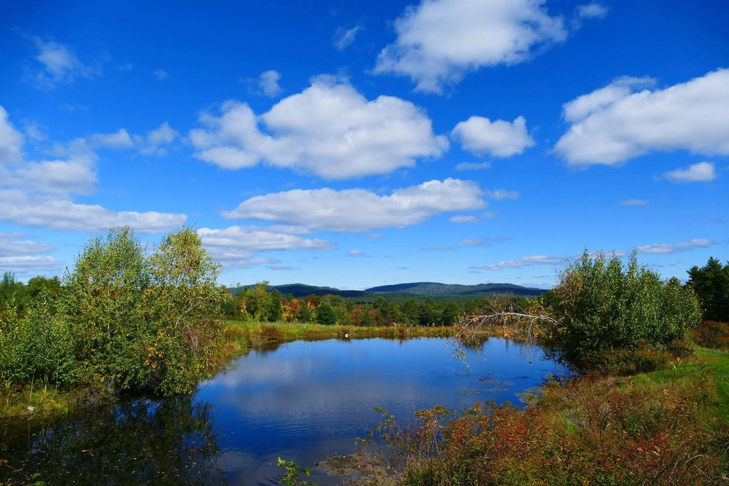 Limington Farm Image Display