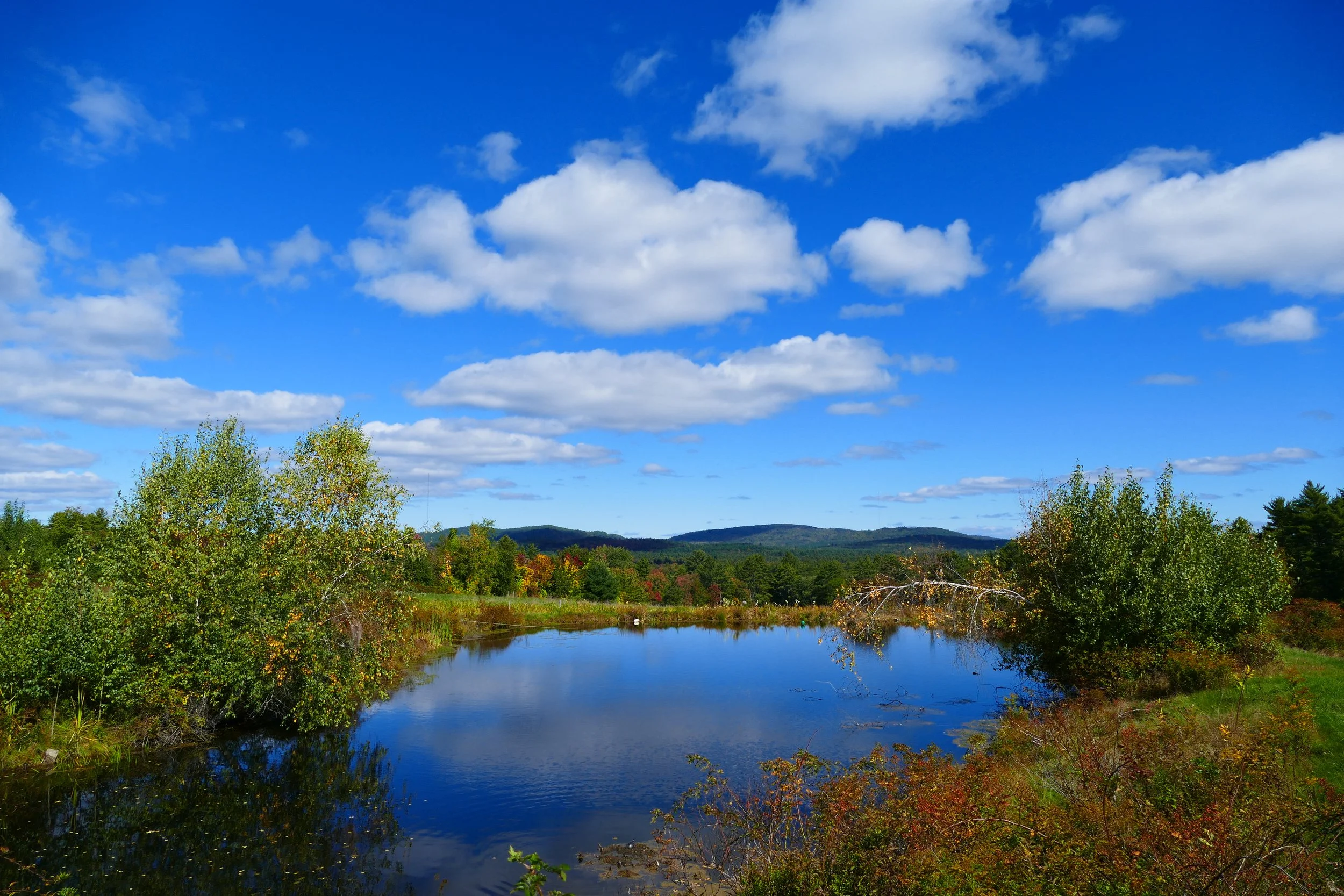 Limington Farm Image Display