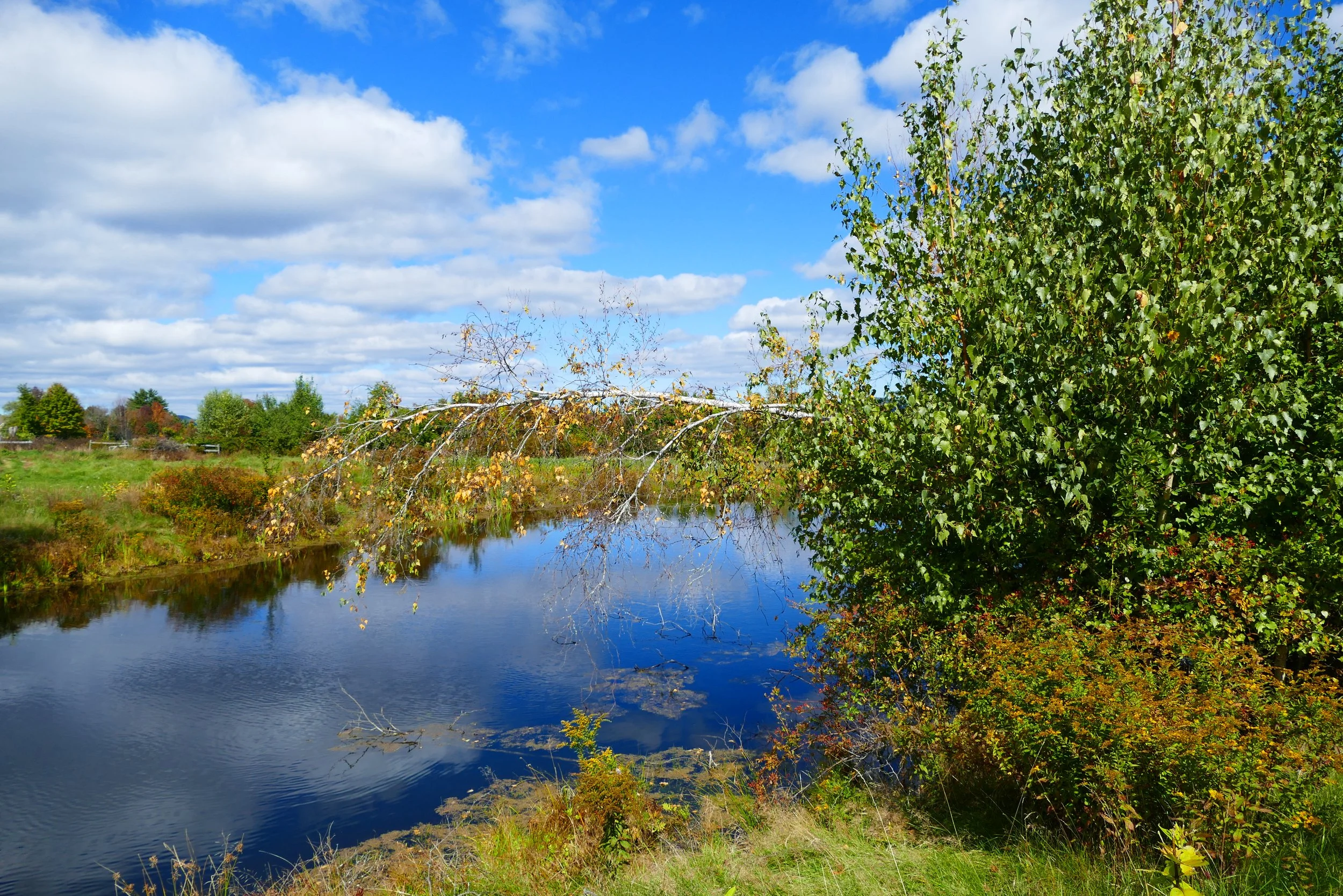 Limington Farm Image Display