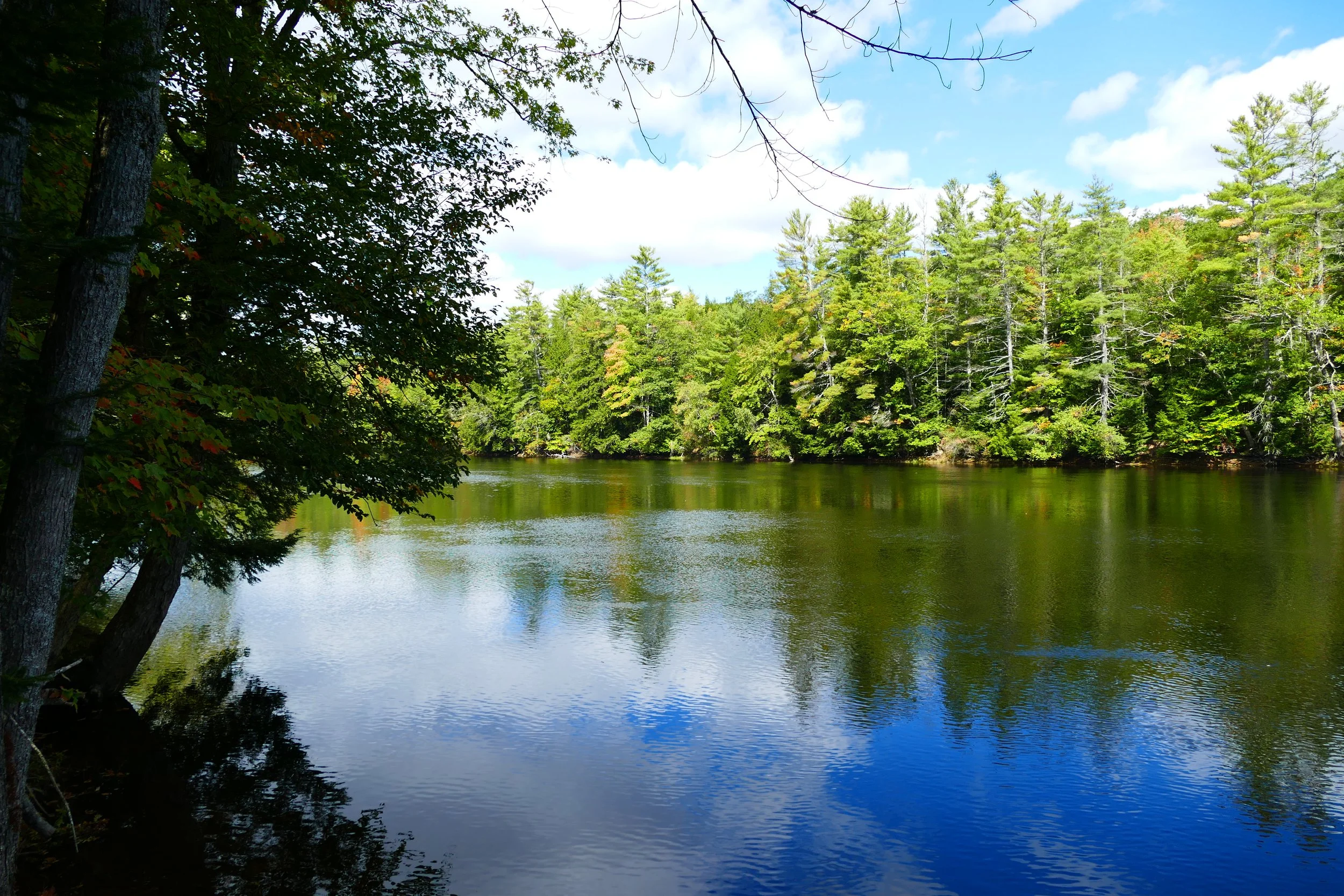 Limington Farm Image Display