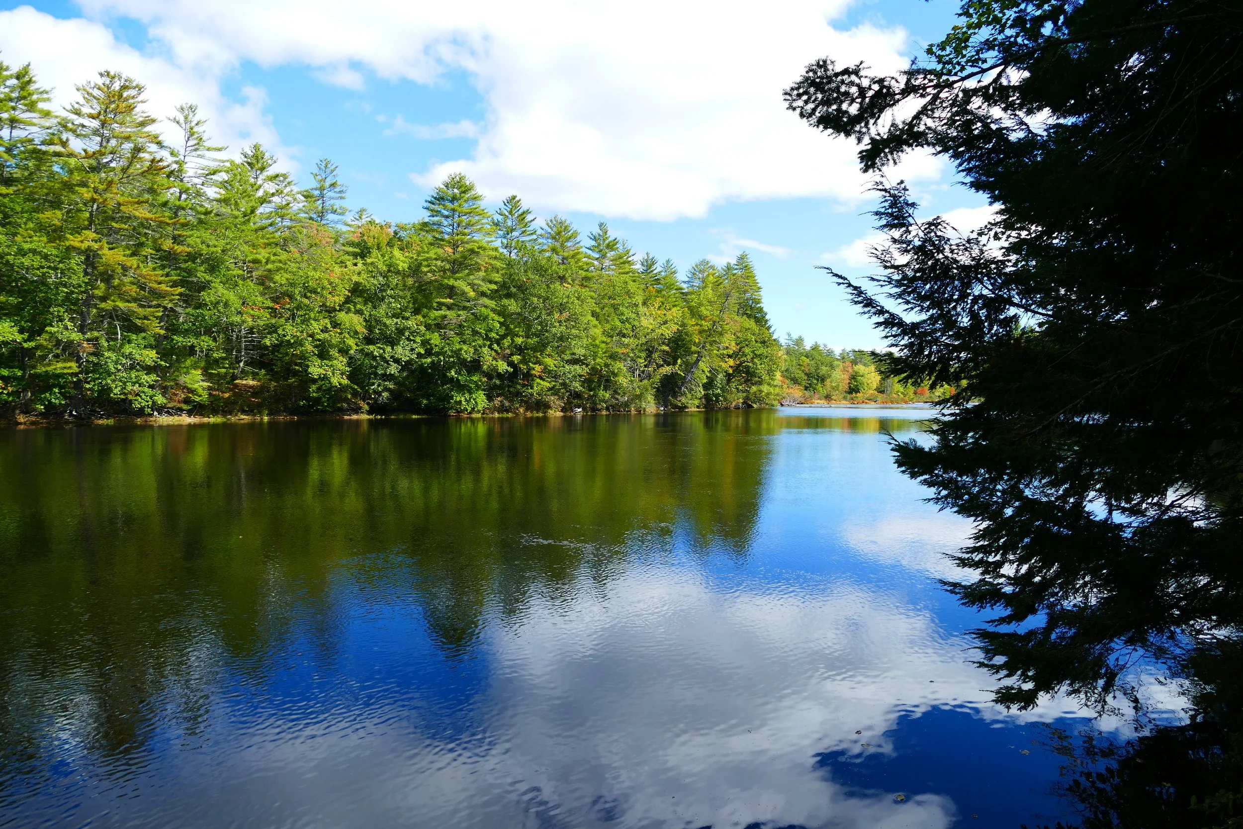 Limington Farm Image Display