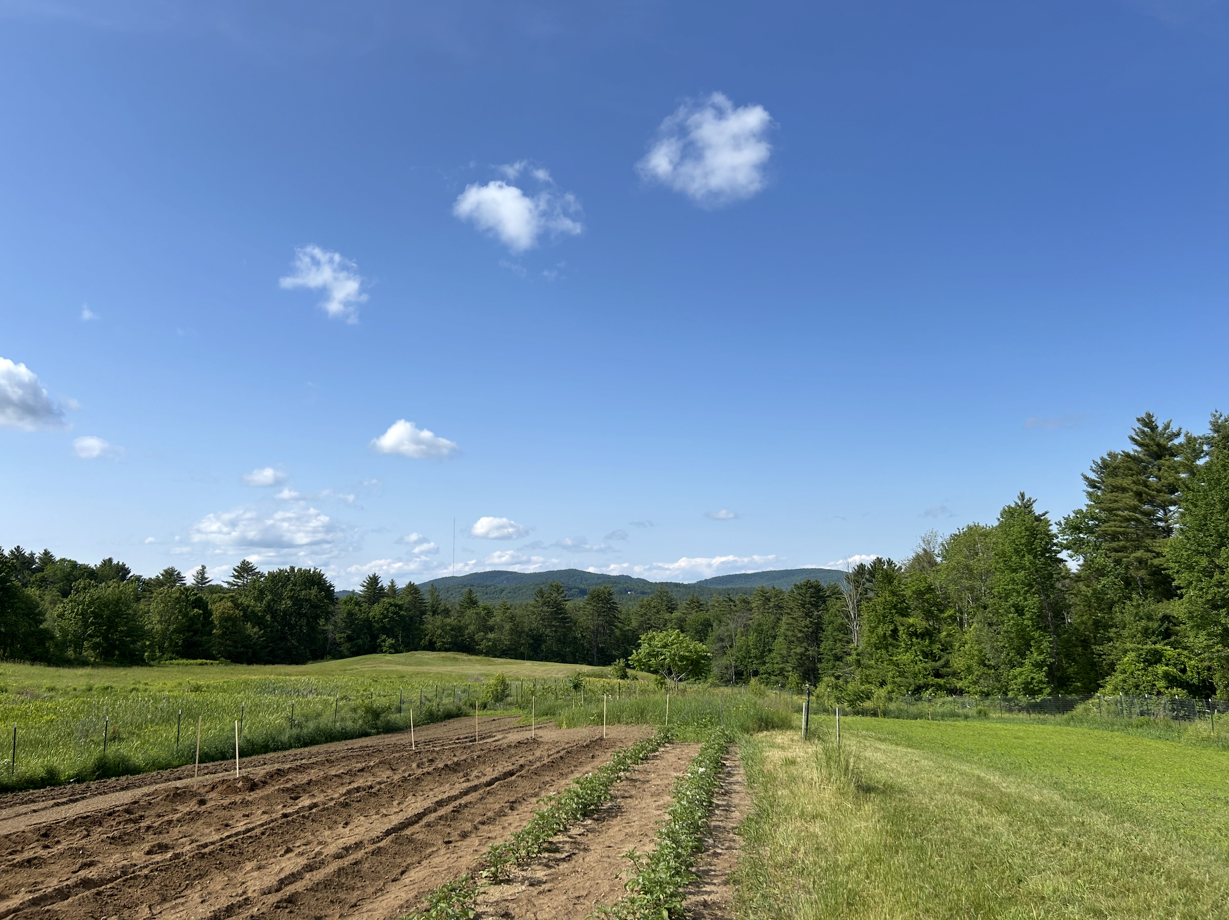 Limington Farm Image Display