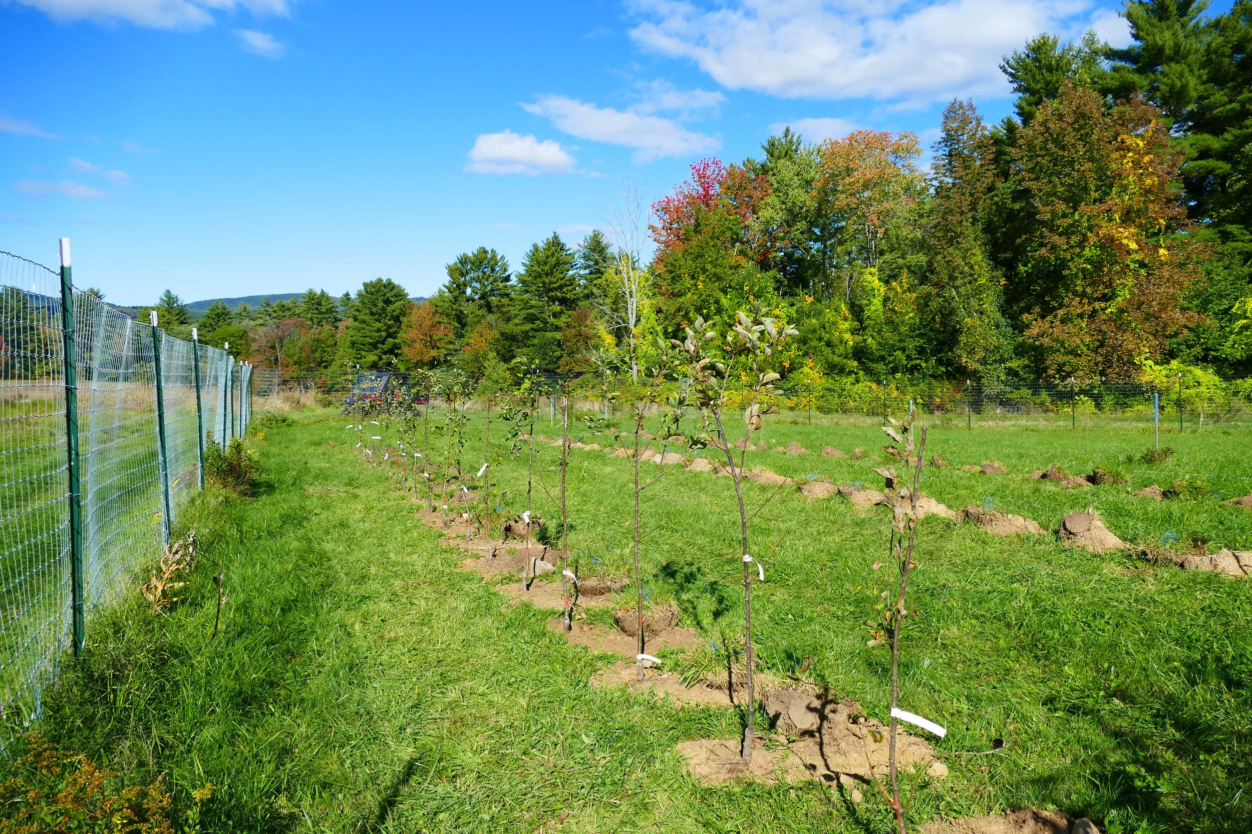 Limington Farm Image Display