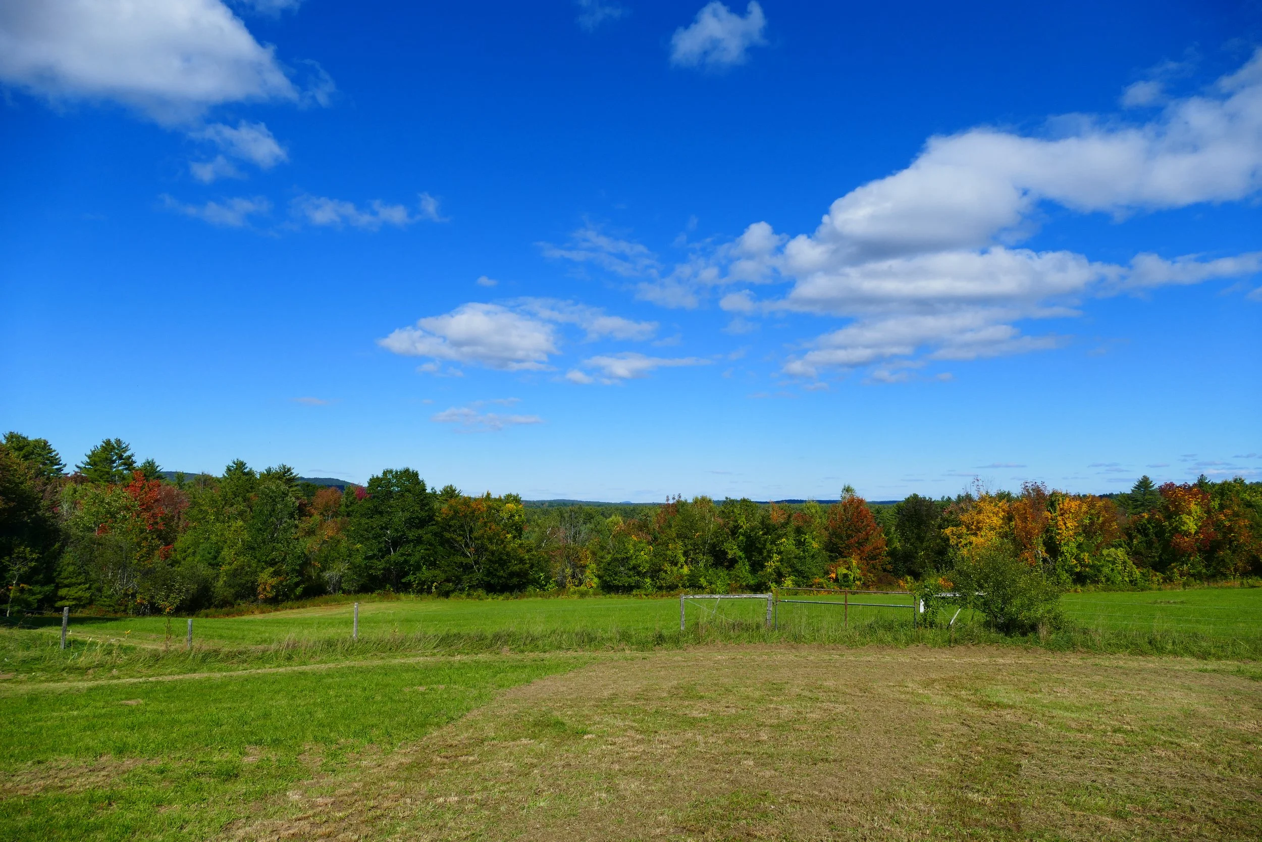 Limington Farm Image Display