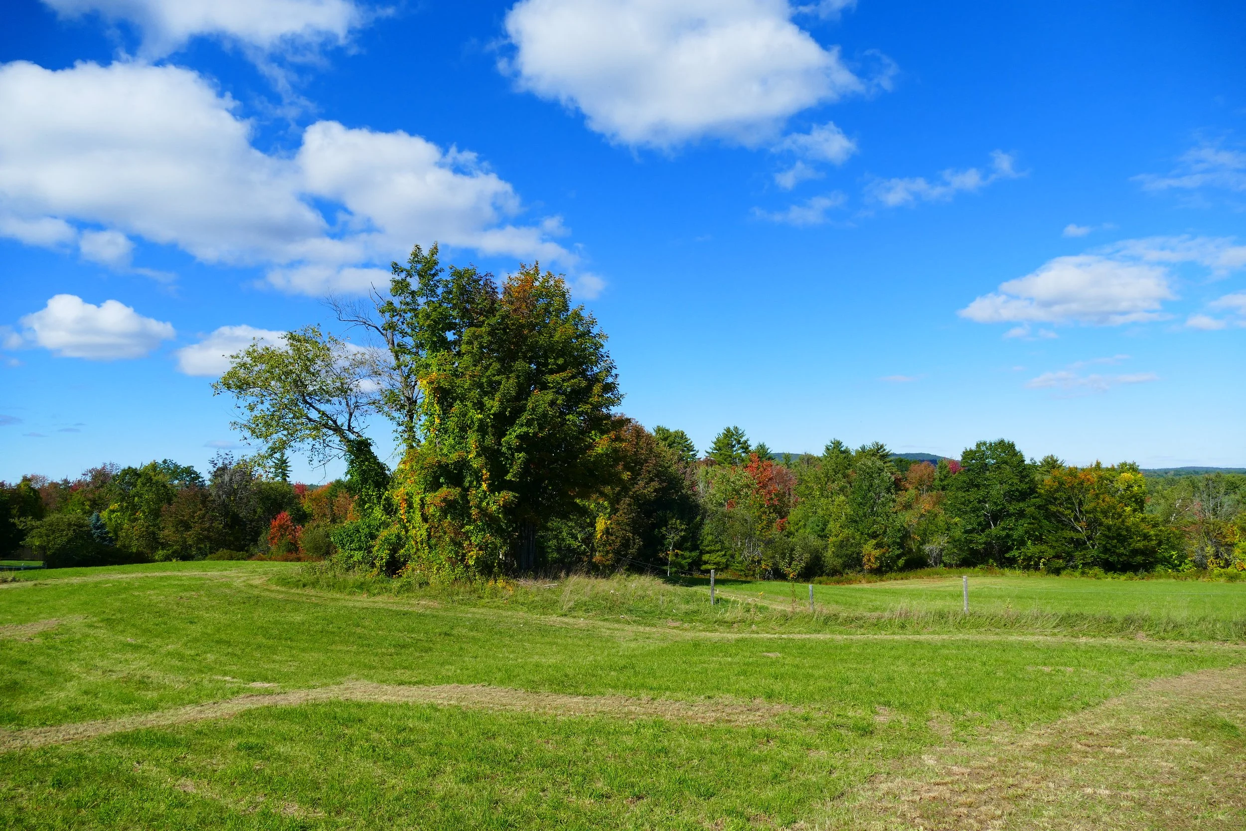 Limington Farm Image Display