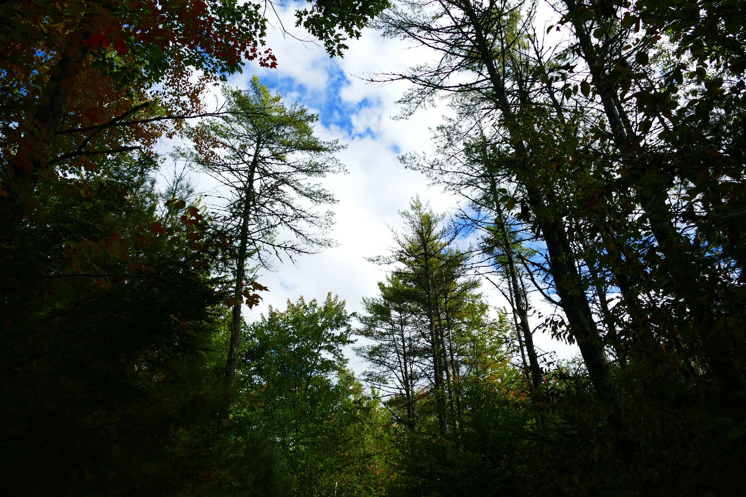 Limington Farm Image Display