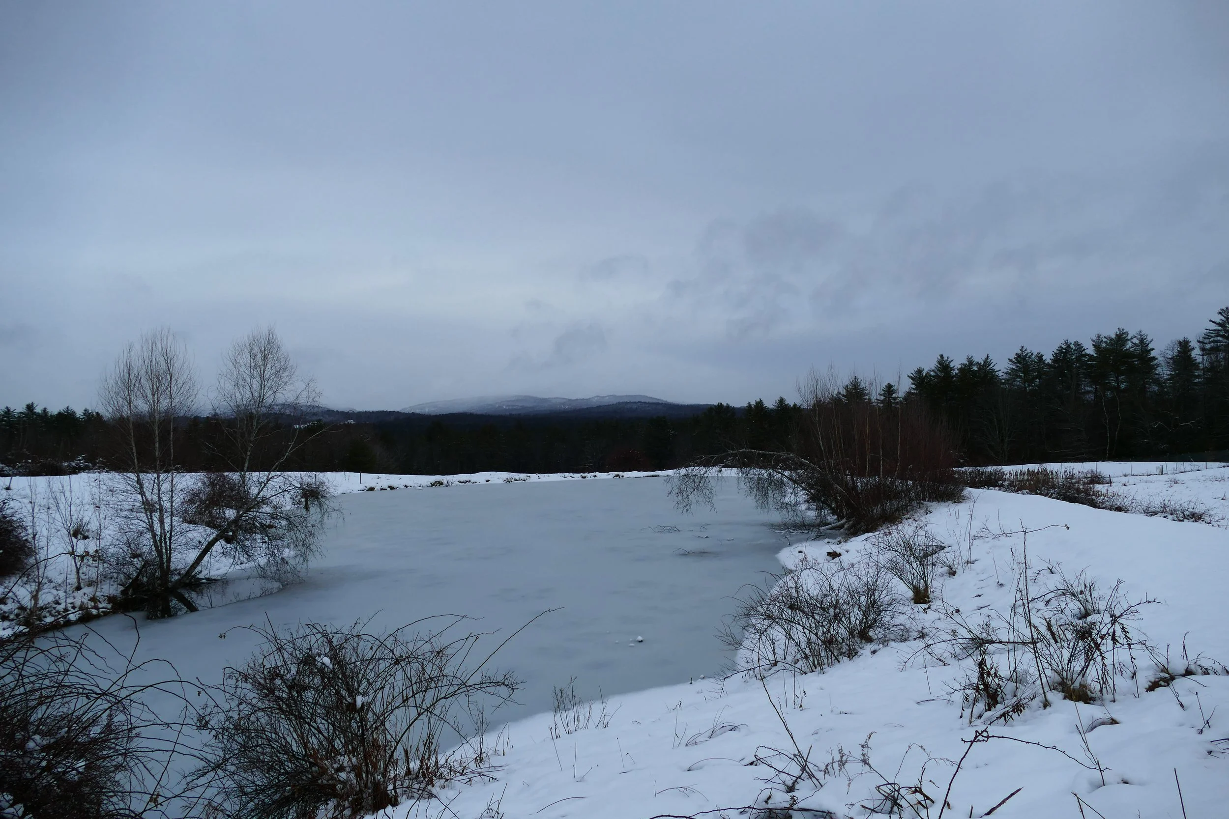 Limington Farm Image Display