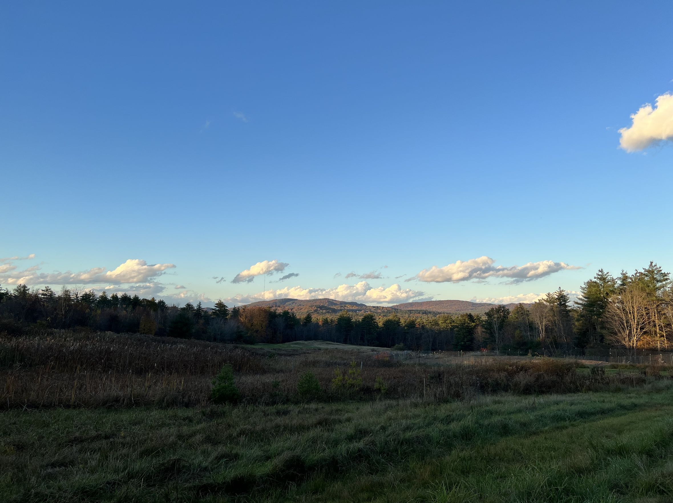 Limington Farm Image Display