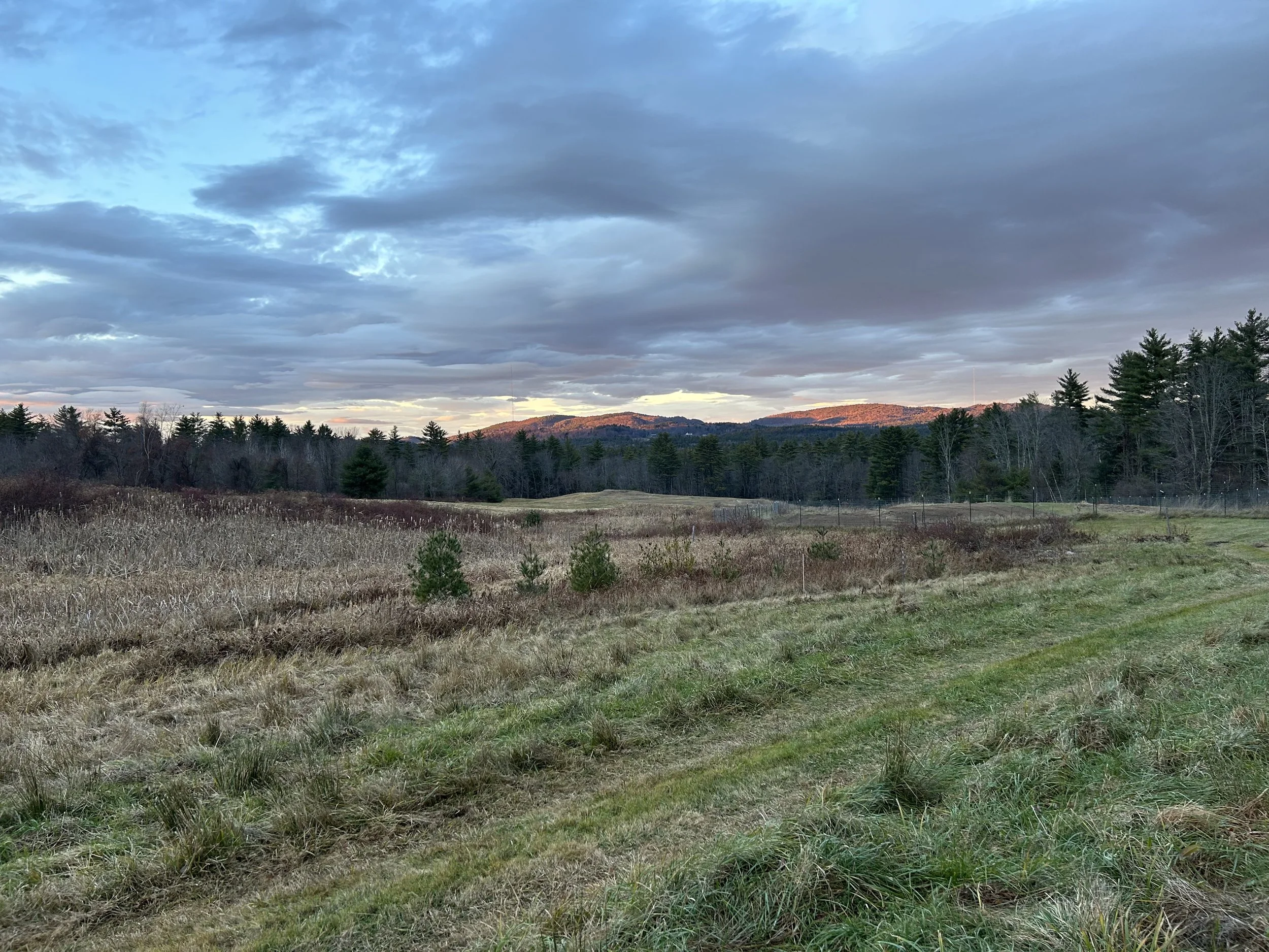 Limington Farm Image Display